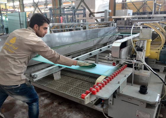 중국 편평한 부드럽게 한 유리를 위한 2000 mm 직선 유리제 두 배 테두리 기계 협력 업체